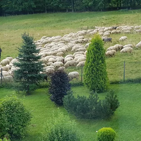 Osada Nosal Apartmán *