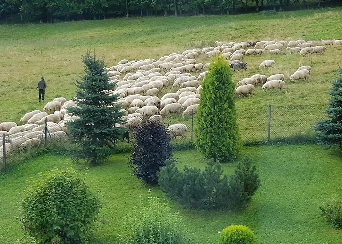 Osada Nosal דירה *