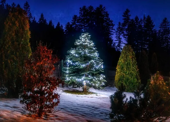 Osada Nosal Apartment *